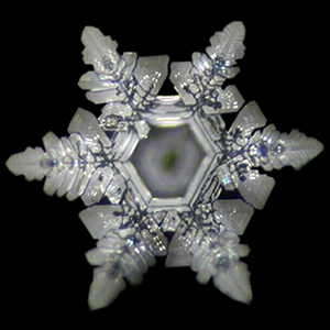 Optimal Altıgen Su Kristali Optimal Altıgen Su Kristali