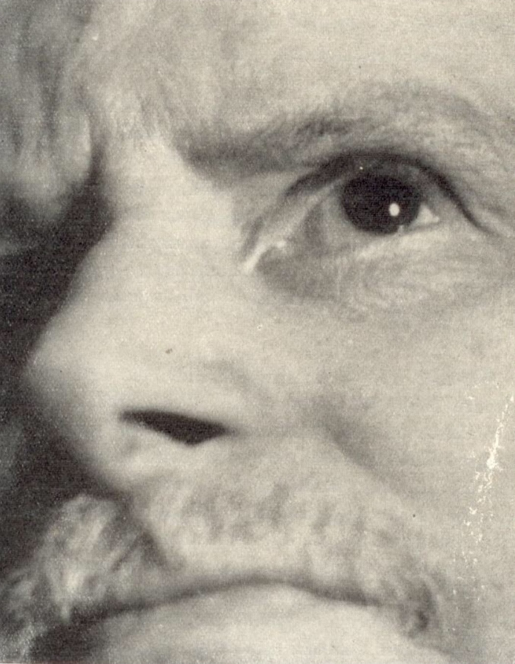 Georges Lakhovsky MWO