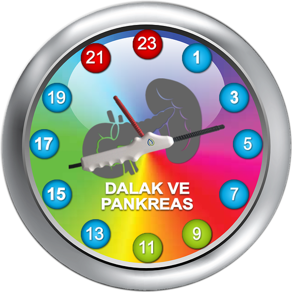 TESLA Osilatörü - Enerji uygulaması