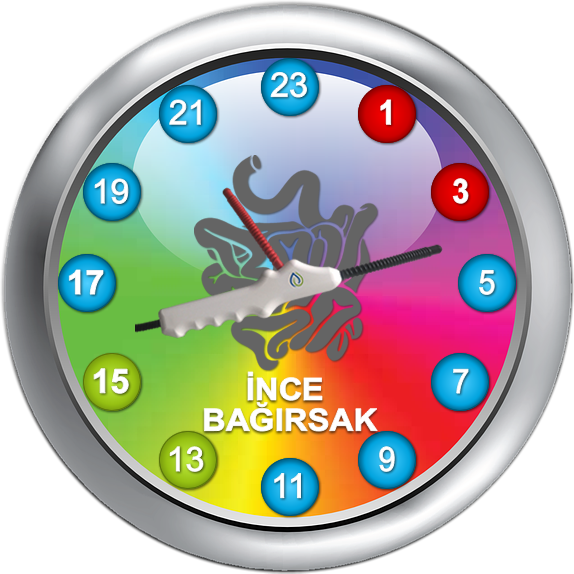 TESLA Osilatörü - Enerji uygulaması